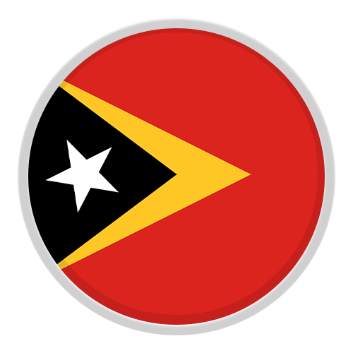 Timor S22