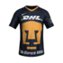 Pumas
